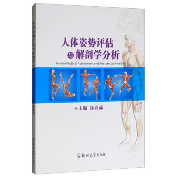 人体姿势评估与解剖学分析_徐高磊2018.10P181书签14528954