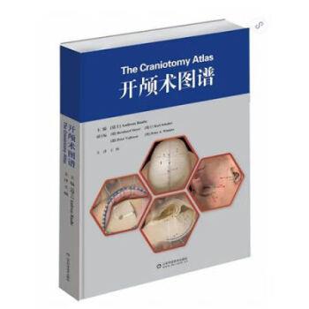 开颅术图谱（瑞士）Andreas Raabe2021P258_9787572309168